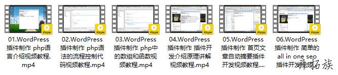 WordPress插件制作视频教程下载 第2张