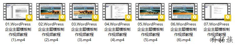 WordPress企业主题制作视频教程下载 第2张