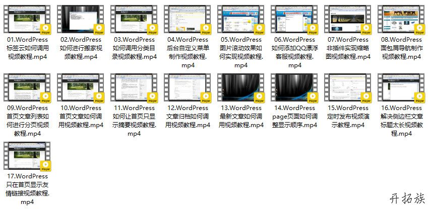 WordPress综合视频教程下载 第2张